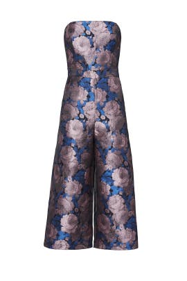 greylin jumpsuit