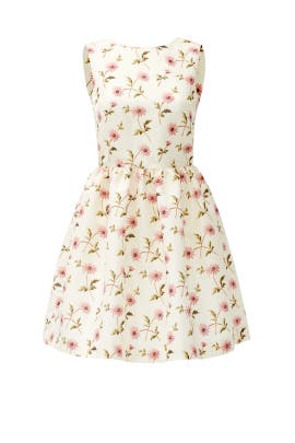 red valentino sheer dot flounce dress