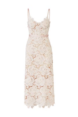 catherine deane lace dress