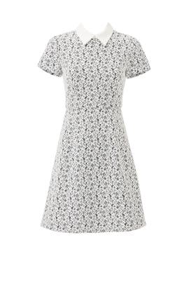 Erin Erin Fetherston Dresses