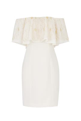 dress the population alexa lace sheath