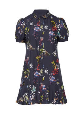 Aliciana Dress by Tanya Taylor