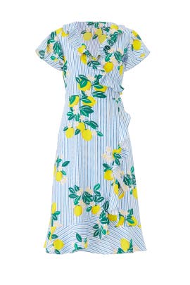 draper james wrap dress