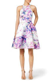 Floral Element Dress by Parker
