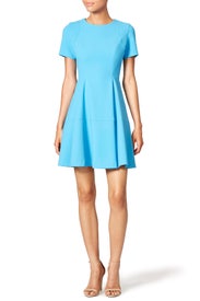 Davie Dress by Shoshanna
