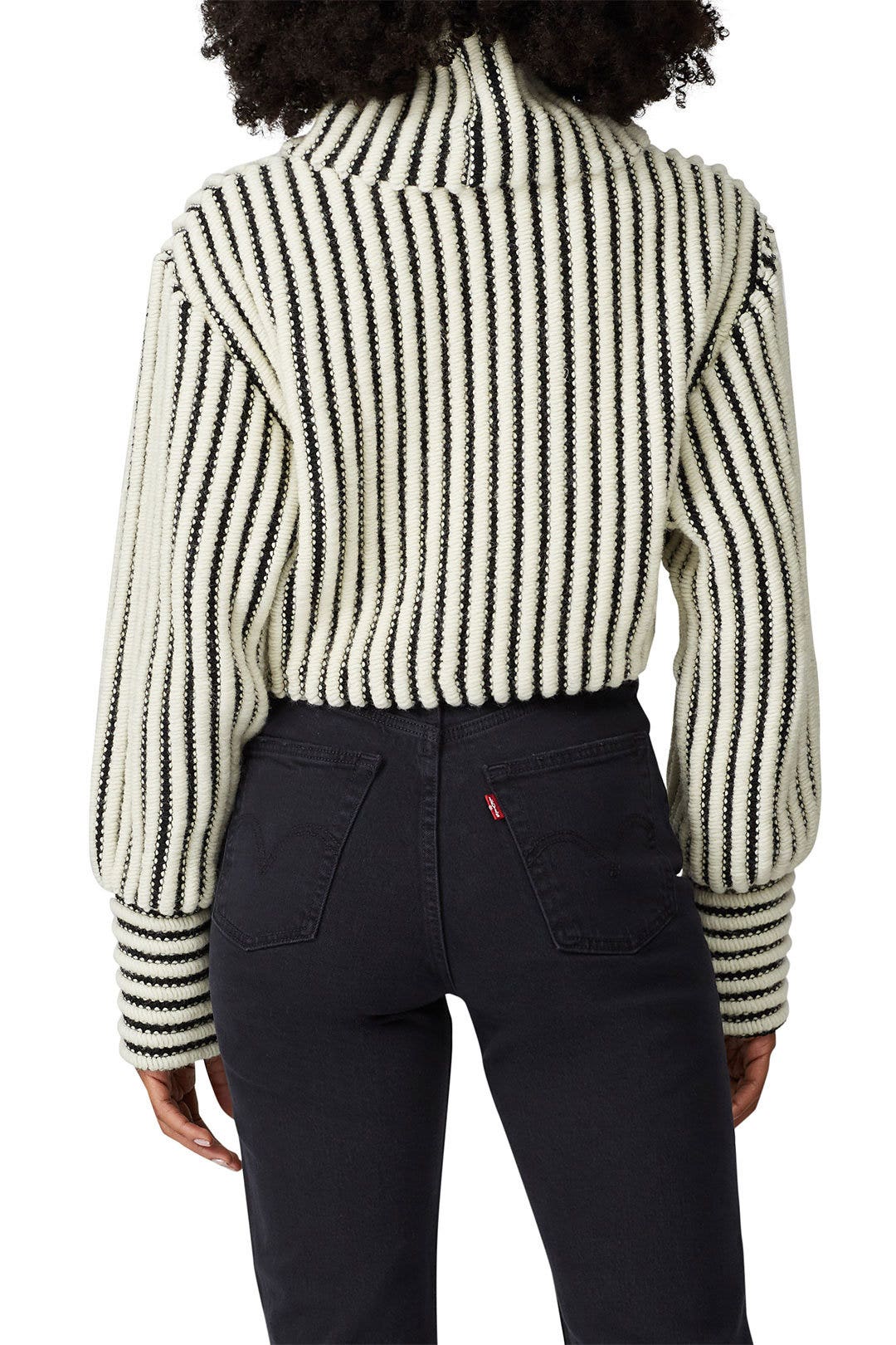 Jane Cropped Turtleneck by Sid Neigum 2