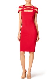 Veda Sheath by Cushnie