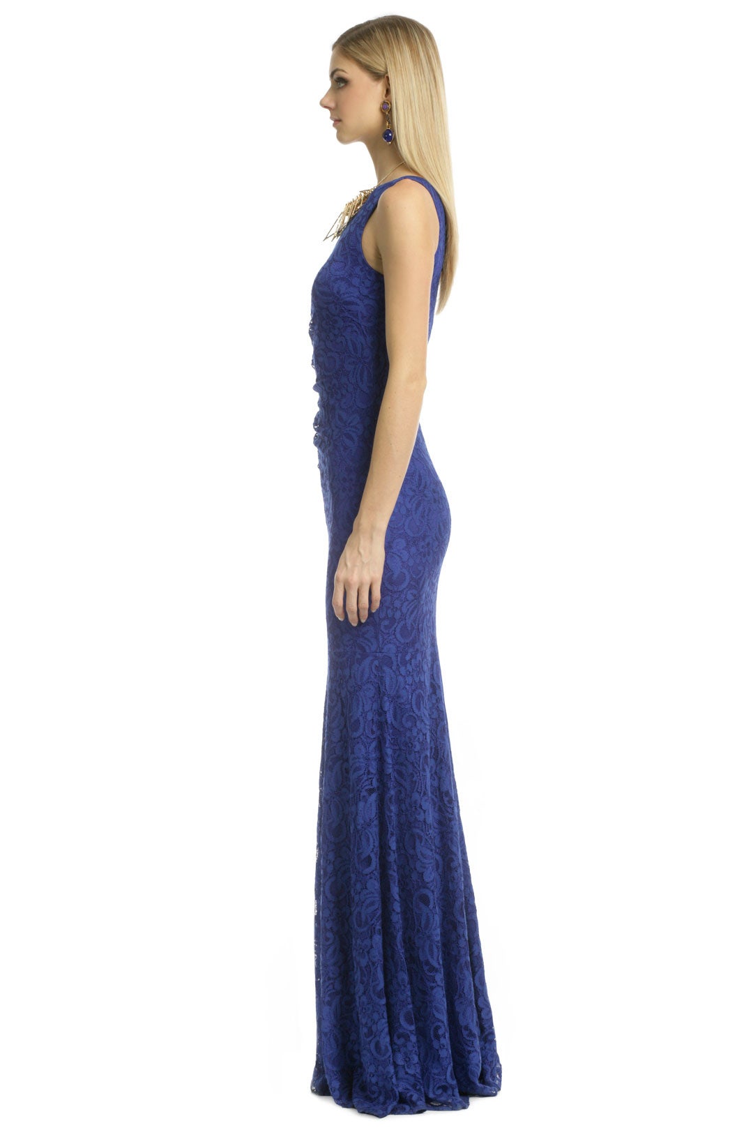 Blue Nile Falls Gown by David Meister 2
