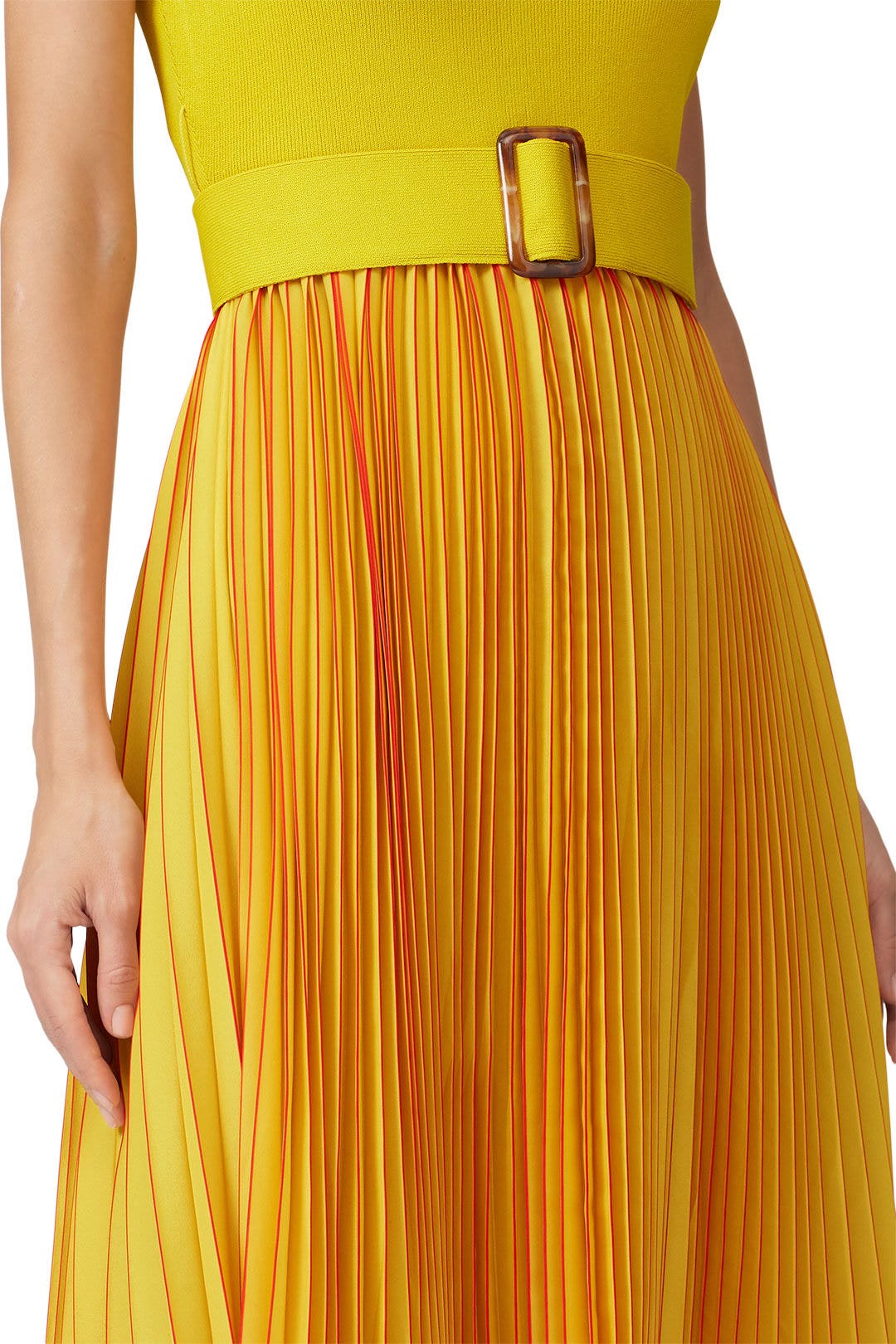 Belted Pleated Dress by Sachin & Babi 2
