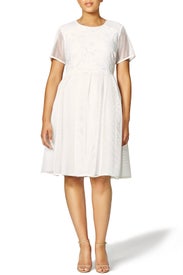 Mesh and Lace Dress by ELOQUII