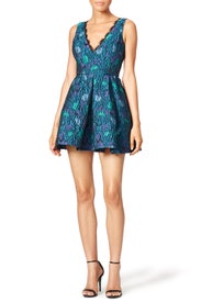 Peony Fringe Dress by Cynthia Rowley