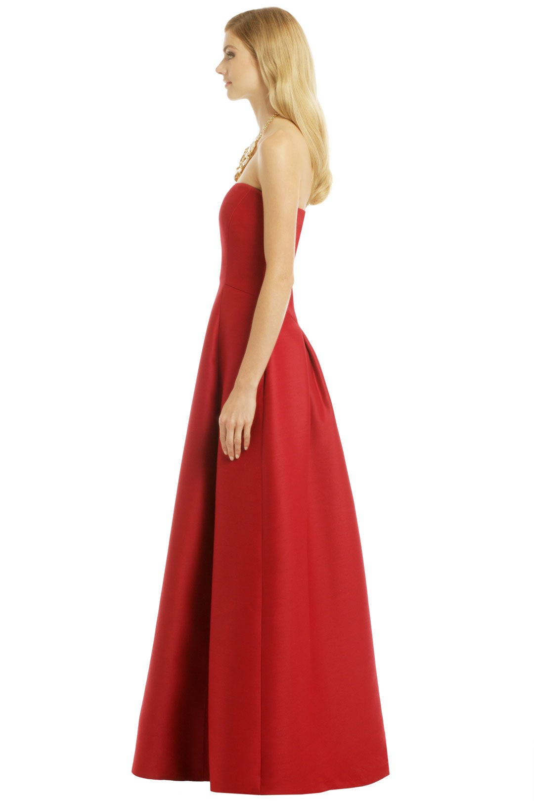 Grand Palais Gown by Alberta Ferretti 2