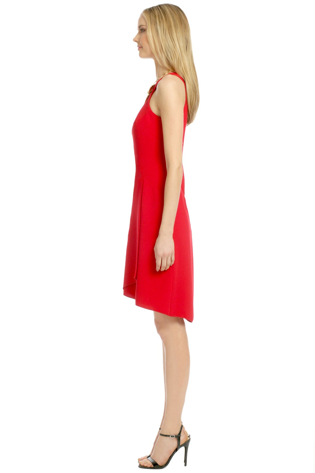 Swing It Dress by Rachel Roy 2