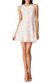 Tori Garden Dress by Jay Godfrey