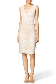 Champagne Bliss Sheath by ERIN erin fetherston