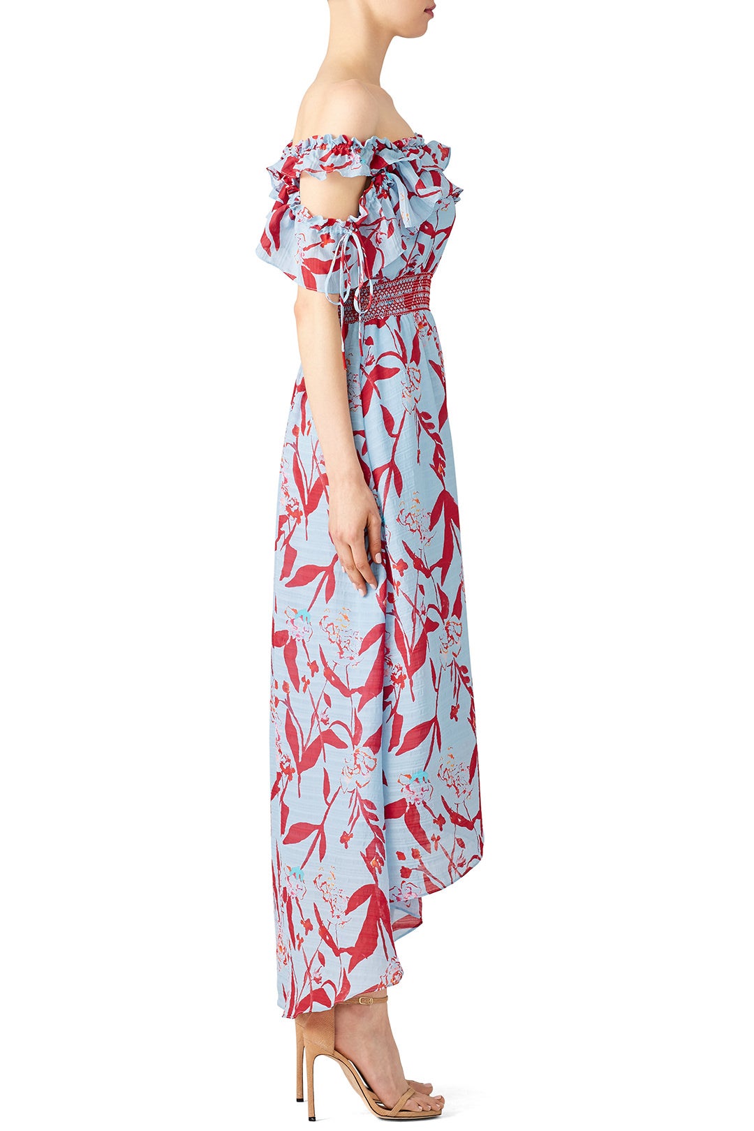 Parrot Tulip Meegan Maxi by Tanya Taylor 2