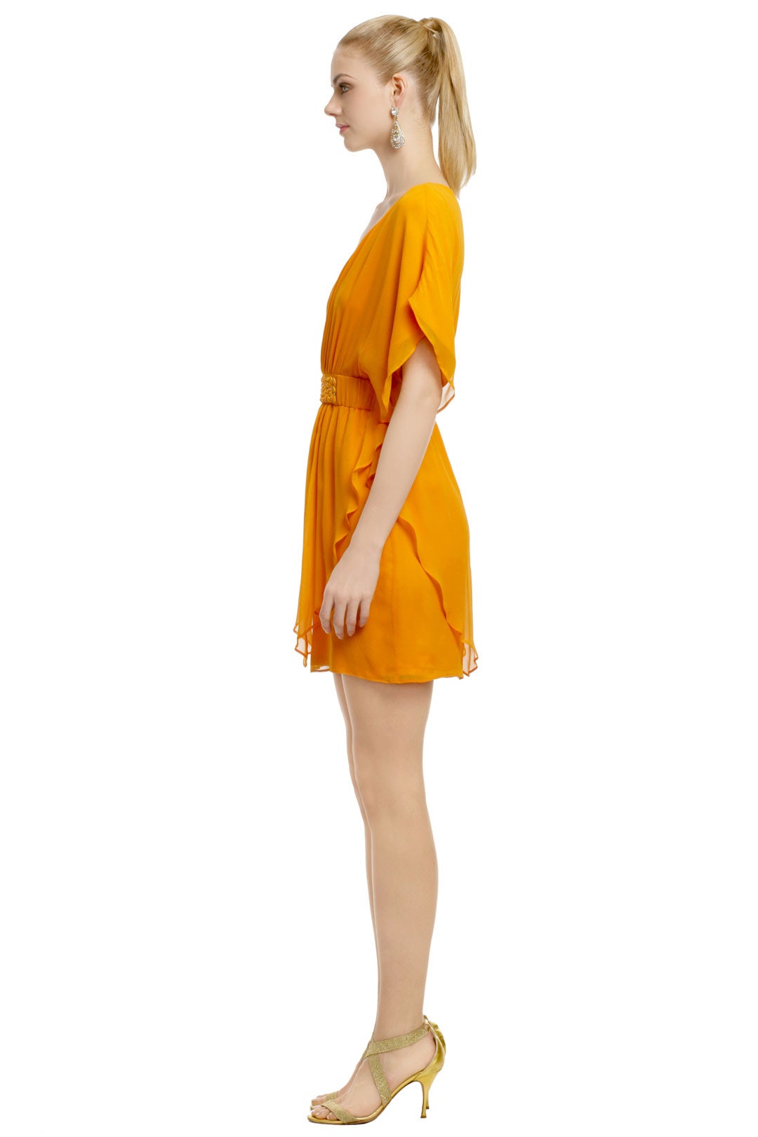 Slice of Mango Dress by Trina Turk 2