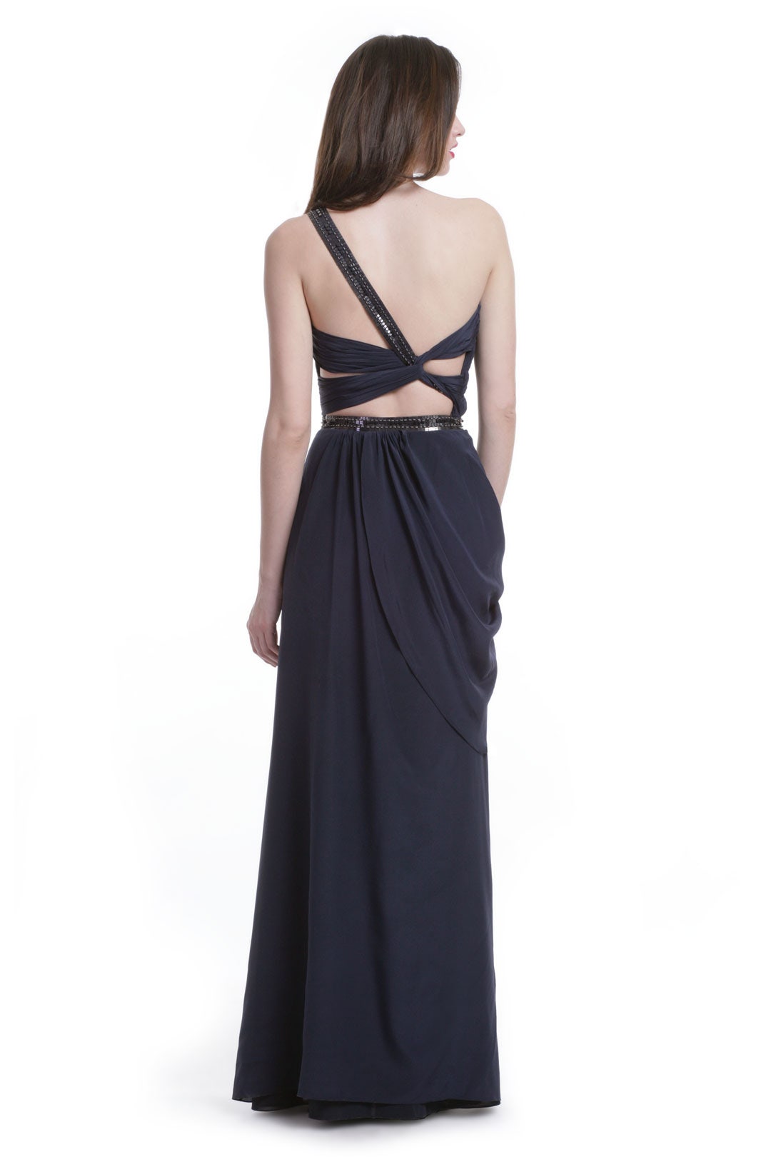 In the Navy Gown by Carlos Miele 1