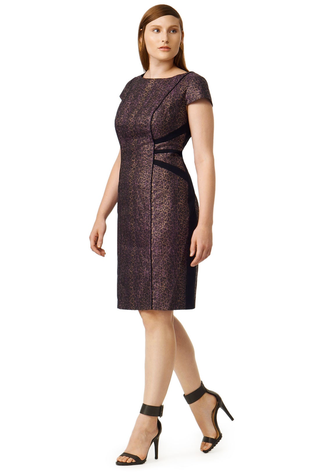 Hit the Spot Sheath by Adrianna Papell 1
