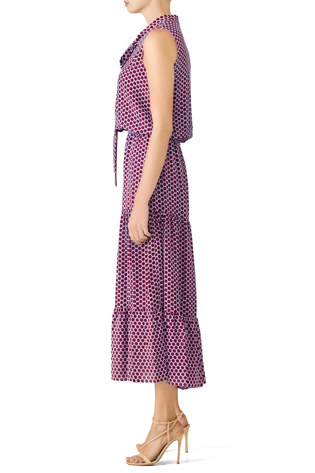 Tansy Polka Dot Maxi by Alexis 2