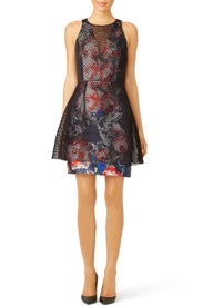 Dana Dress by Sachin & Babi