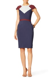 Clementine Day Dress by Raoul