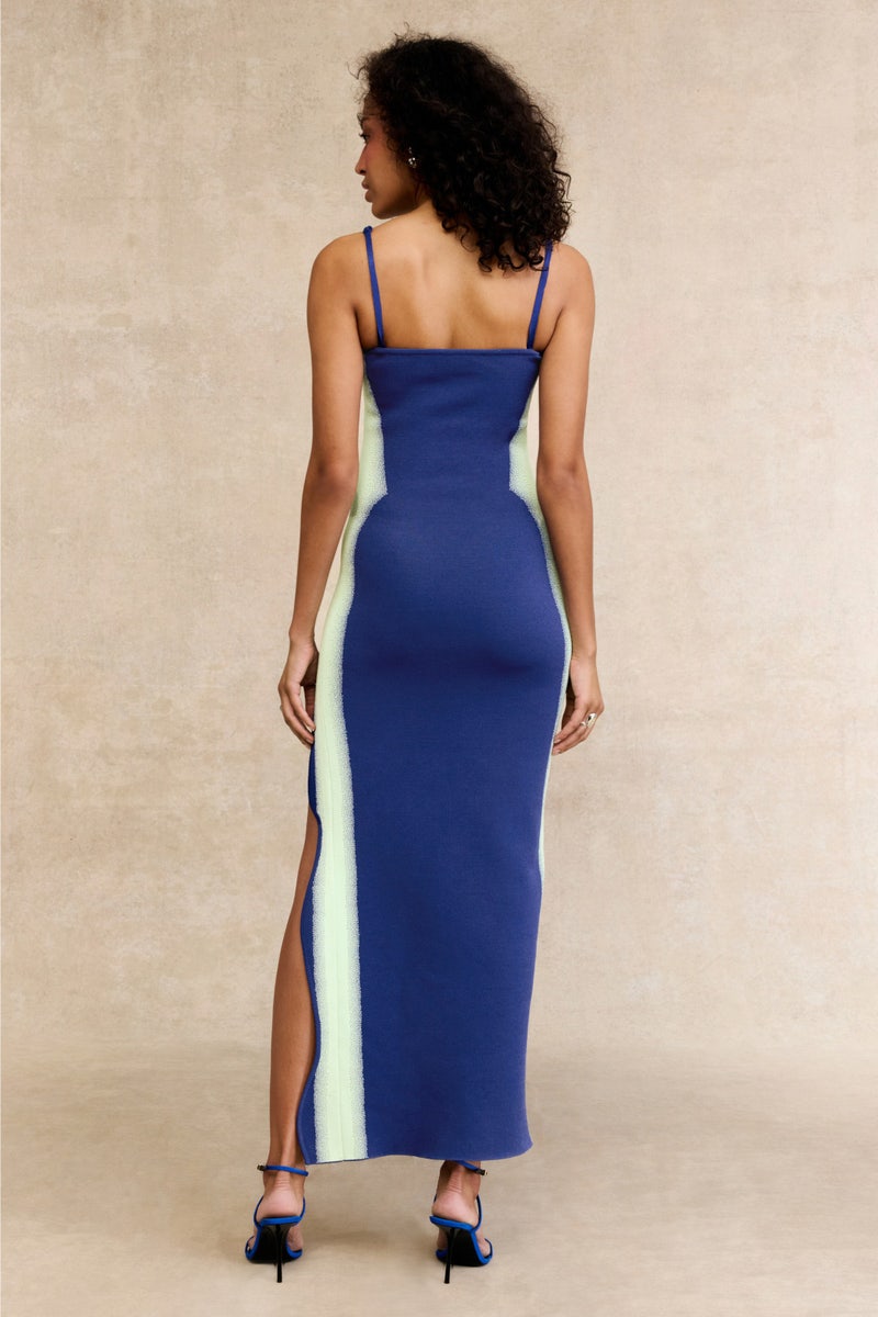 Iris Flower Print Maxi Dress by PH5 - Photo 2