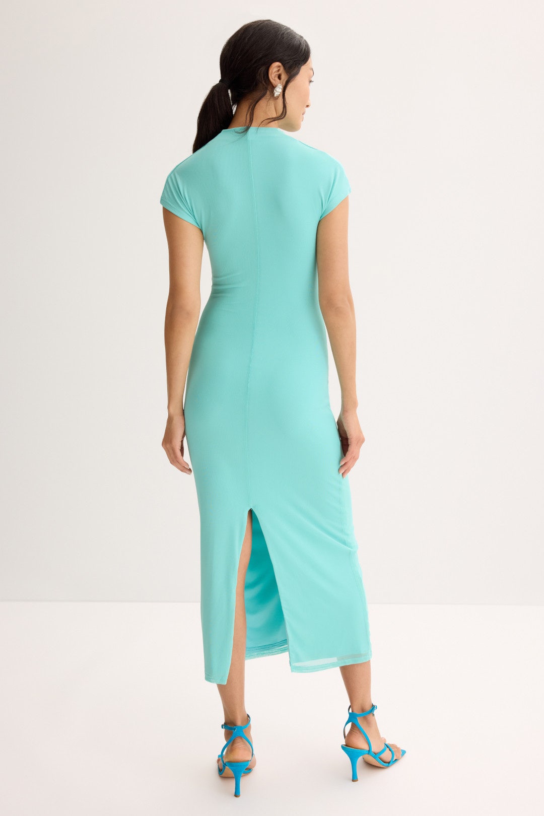 Christy Mesh Cap Sleeve Dress by Suboo 2