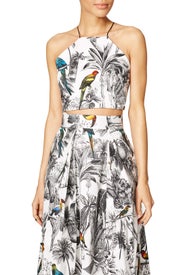 Toile Print Halter Top by Milly