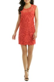 Apricot Spritzer Sheath by Nicole Miller