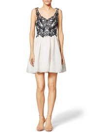 Contrast Silk Gazaar Dress by Marchesa Notte