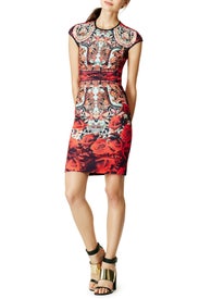 Rose Matador Dress by Clover Canyon