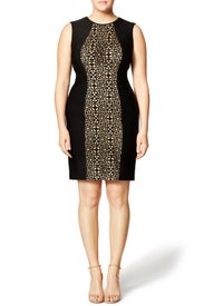 Silhouette Sheath by Tadashi Shoji