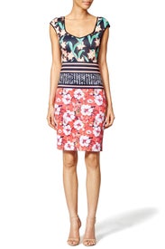 Floral Sunrise Sheath by Clover Canyon