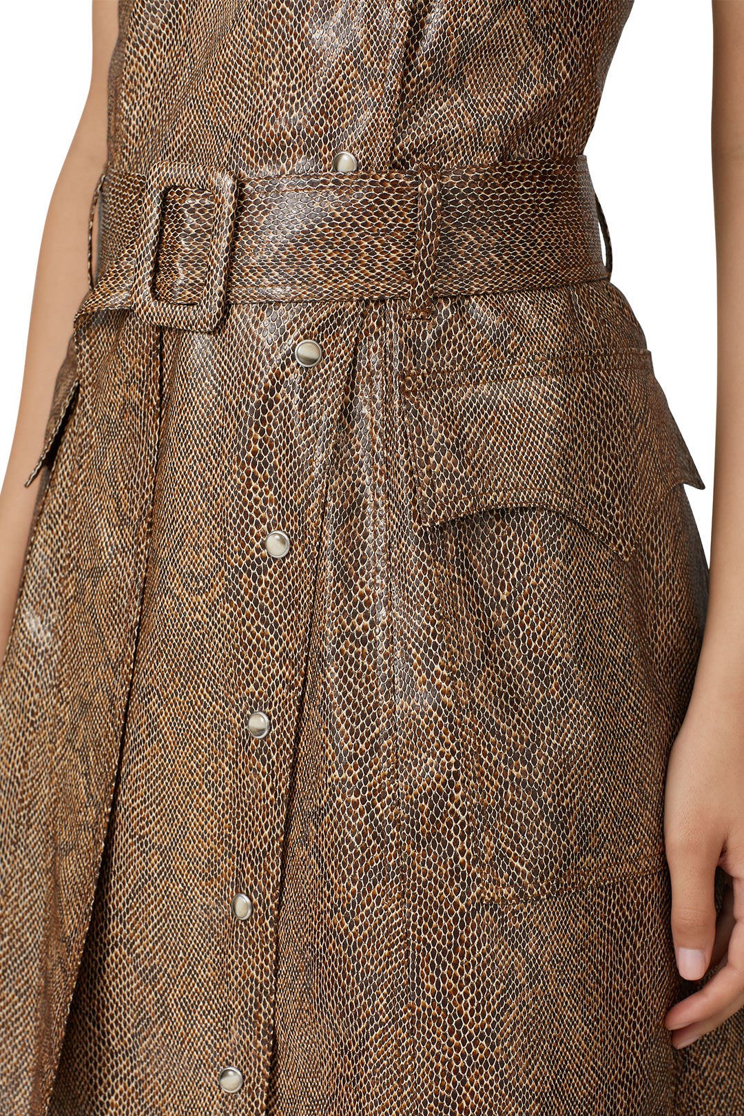 Snake Print Lorena Dress by Nanushka 2