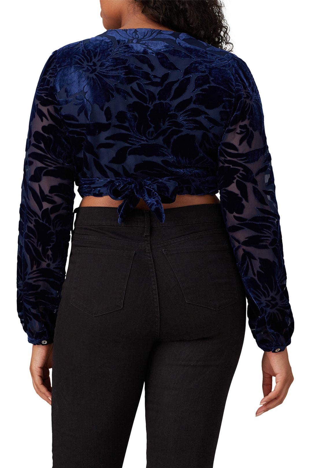 Velvet Claudia Crop Top by Hutch 7