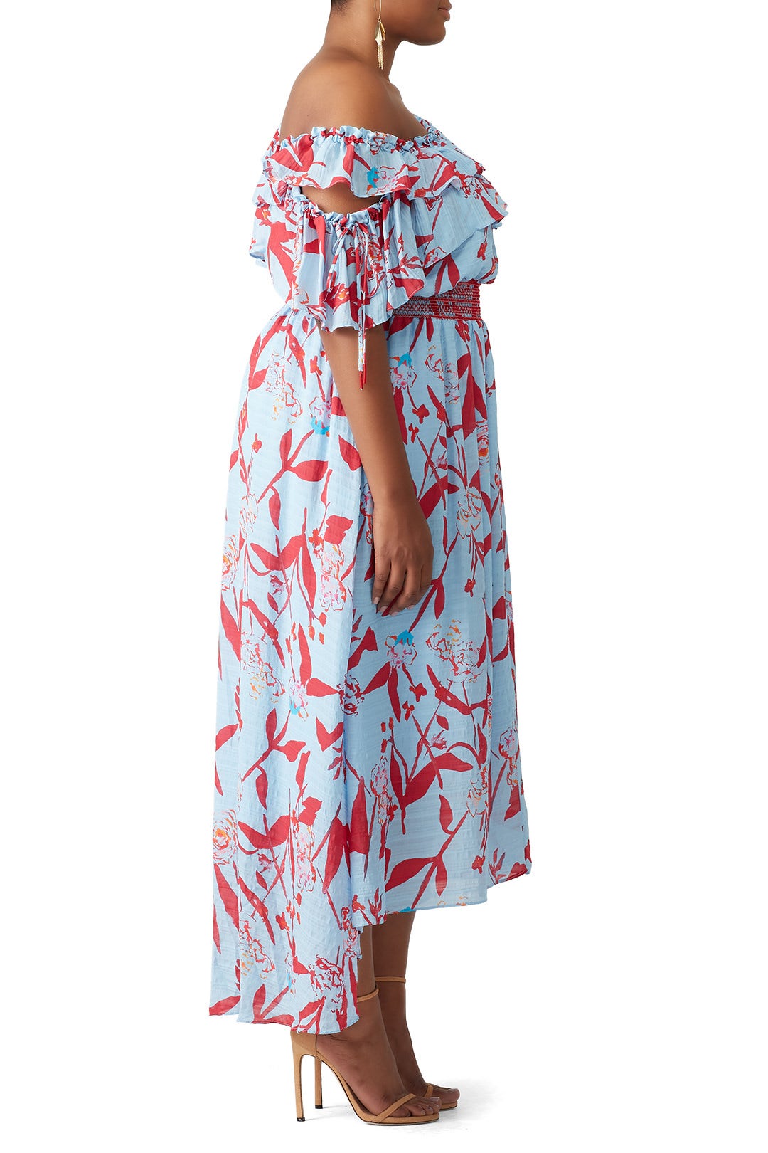 Parrot Tulip Meegan Maxi by Tanya Taylor 6