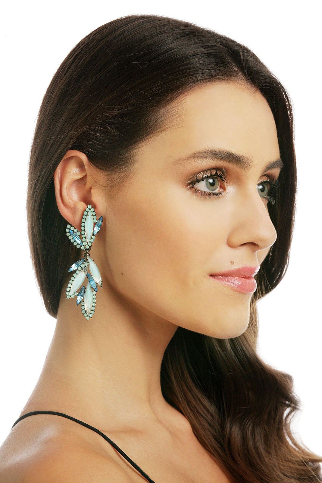 Lapis Dragonfly Earrings by Elizabeth Cole 0