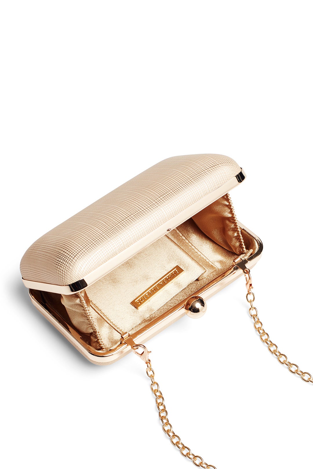 Etched Nappa Minaudiere by Sondra Roberts 1