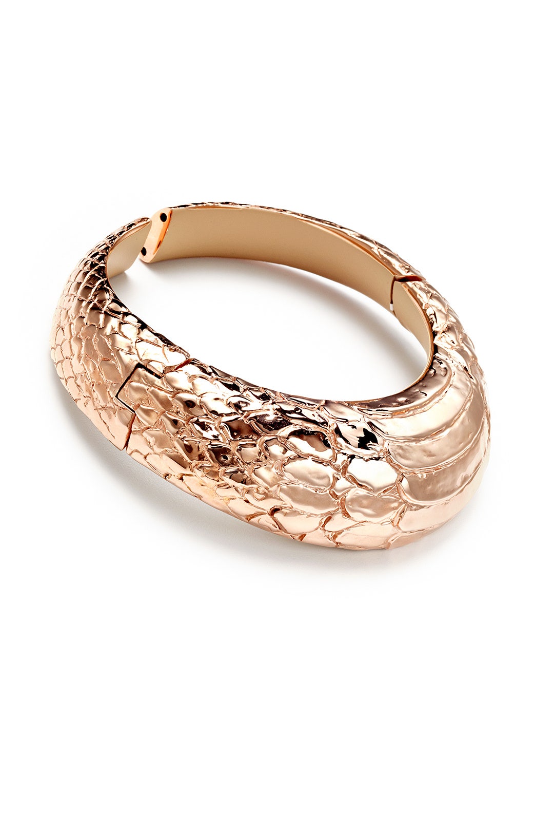Reptile Choker by Cedric Charlier 1